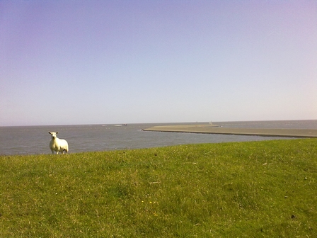 Eemshaven